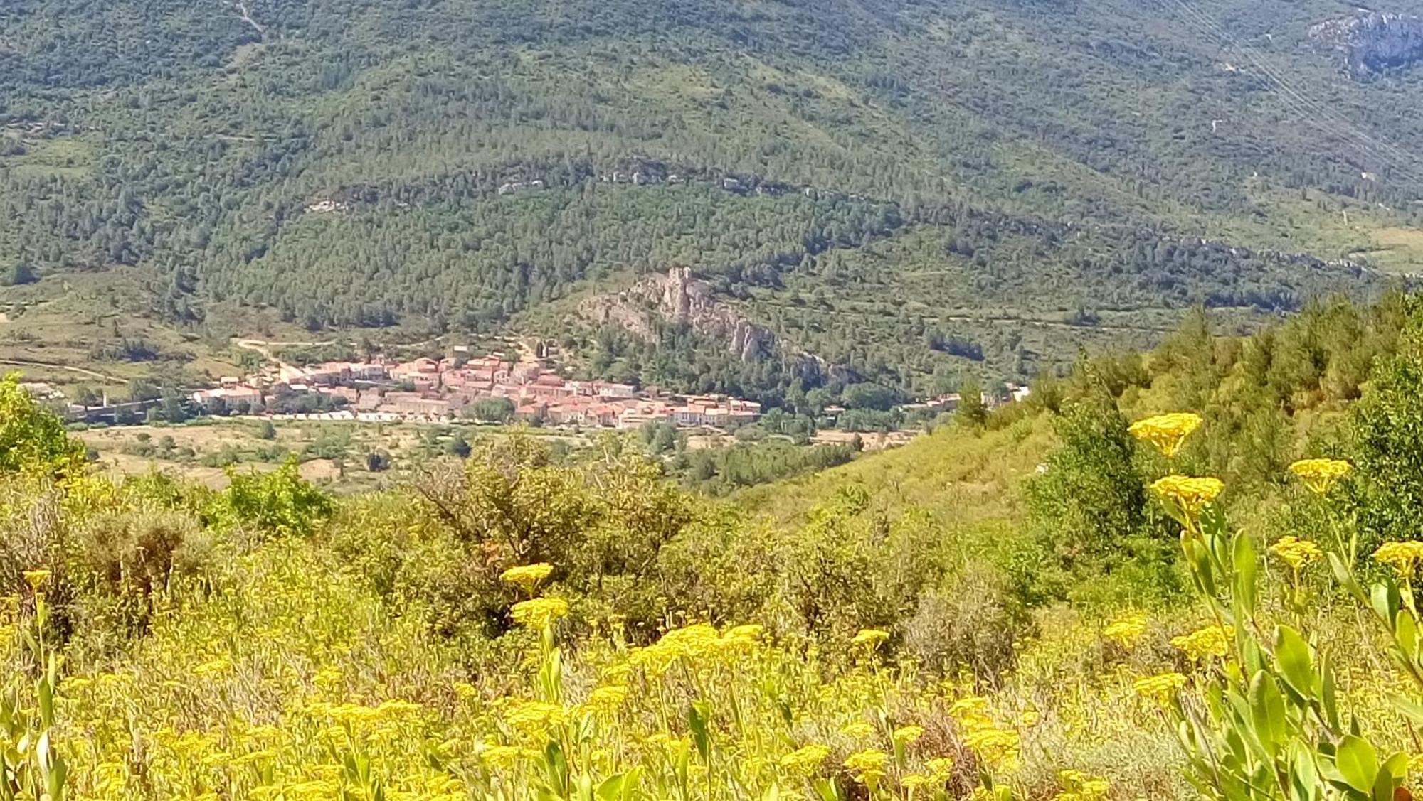 Gite Rue Tranquille Padern Bagian luar foto